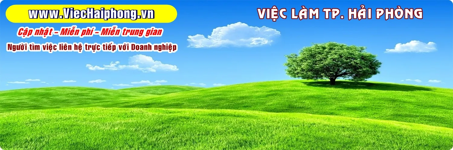 Logo Việc làm Hải Phòng - Kênh tuyển dụng uy tín